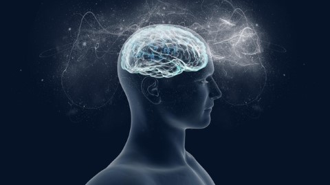Top 10 érdekes tény az emberi agyról